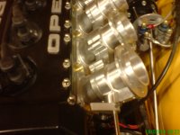 IMG_1977.jpeg