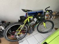 IMG_0248.jpeg
