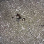 eup-1136627110-093e753ea2f0ced19107cd1fd5954998-1554642110_big.jpg eup-1136627110-093e753ea2f0ced19107cd1fd5954998-1554642110_big.jpg