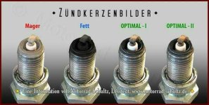 eup-1137340056-8010813fa5c2a32ab7d5f023473596c9-1651159139_big.jpg