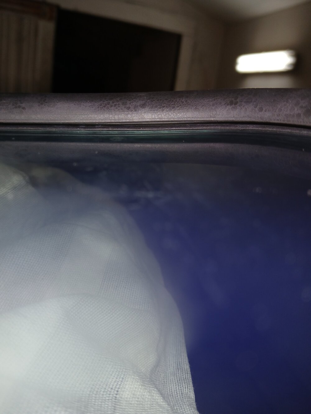 20260924_192347.jpg