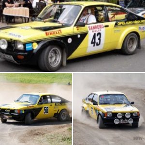 Bilder Rallye Wolf