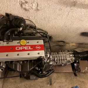 kadett