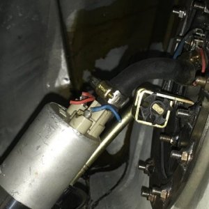 kadett