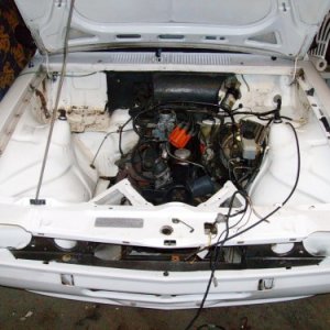 Fastbacks