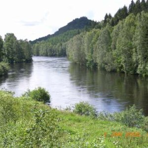 Haggi80