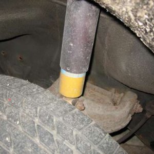 Gute Bilstein