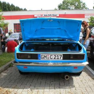Hohlymohlys Limo /2