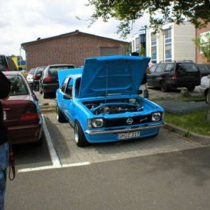 Hohlymolys Limo /1