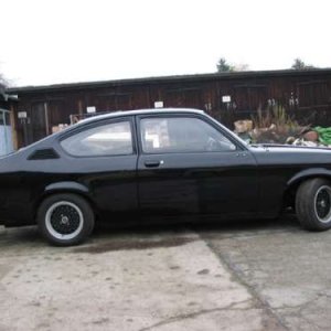 Blaubaer11