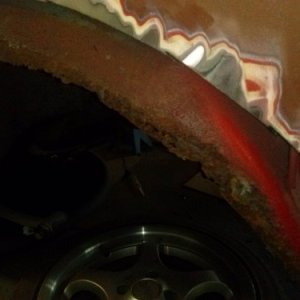 radlauf hinten links