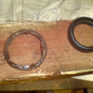 Simmerring Ausgangswelle