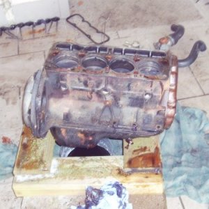 mein ec 12er N