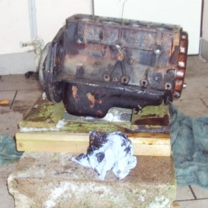 Mein ex 12er N