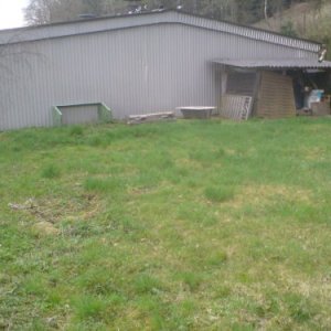 wiese hinter der halle