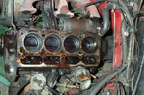 Motor