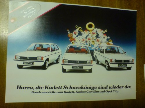 Schneekönig Scan
