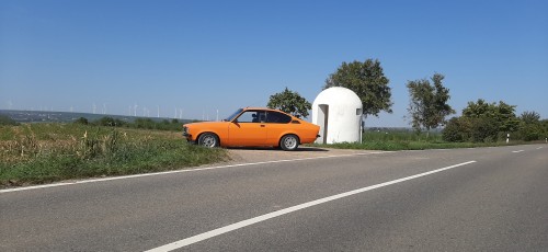 Bernhard